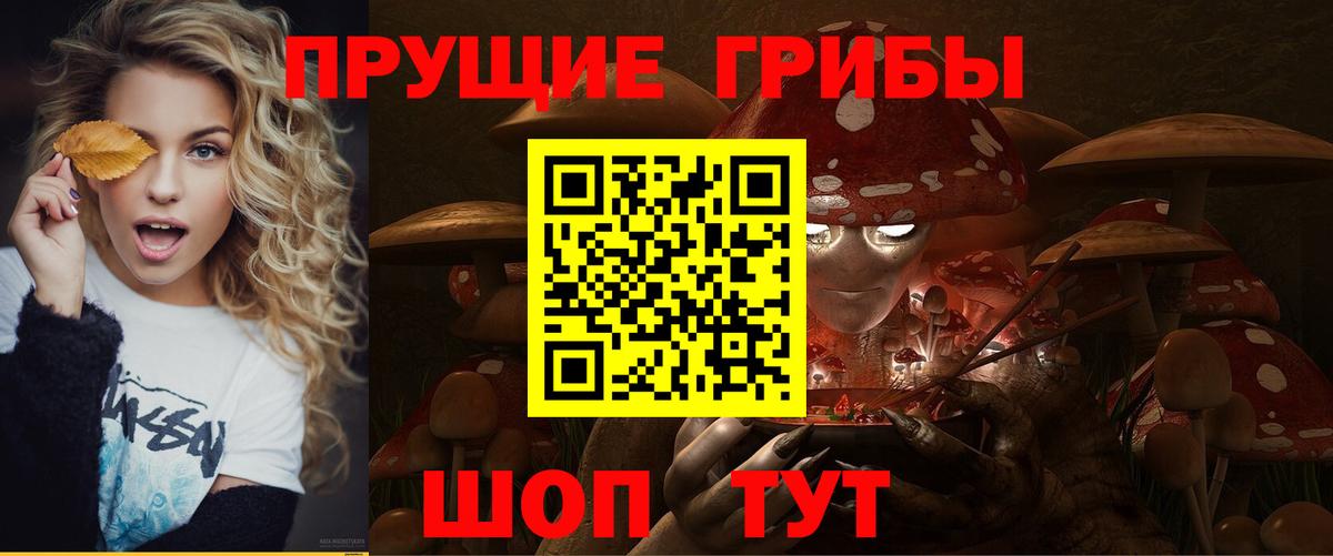 Псилоцибиновые грибы мицелий  Галлюциногенные грибы Psilocybine cubensis  купить наркотик  Советская Гавань  Вход с VPN 