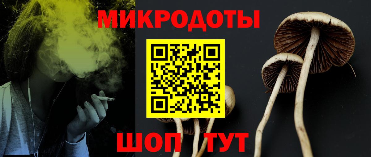 Галлюциногенные грибы Magic Shrooms Советская Гавань